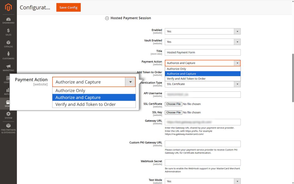 Choosing the payment action - Authorize and Capture